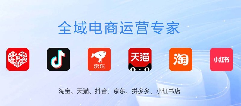 上海电子商务行业的变革与发展